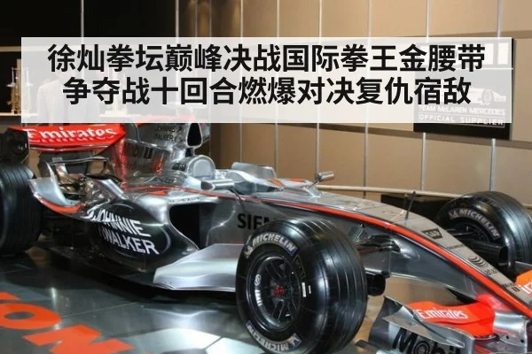 徐灿拳坛巅峰决战国际拳王金腰带争夺战十回合燃爆对决复仇宿敌